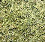 Alfalfa and other legume hay