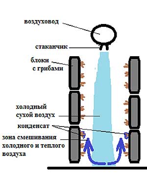 Гриб для теплого пола