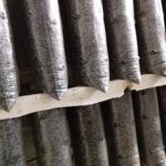 How to grow an oyster mushroom block.The incubation period
