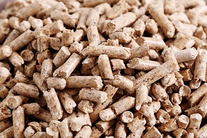 pellets for oyster mushroom substrate